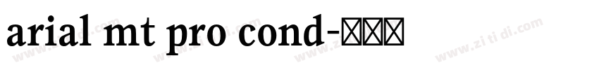 arial mt pro cond字体转换